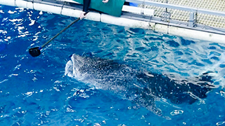 梅雨の関西デート15選 — 雨でも楽しめる室内スポットを費用つきで紹介【2026年6月】