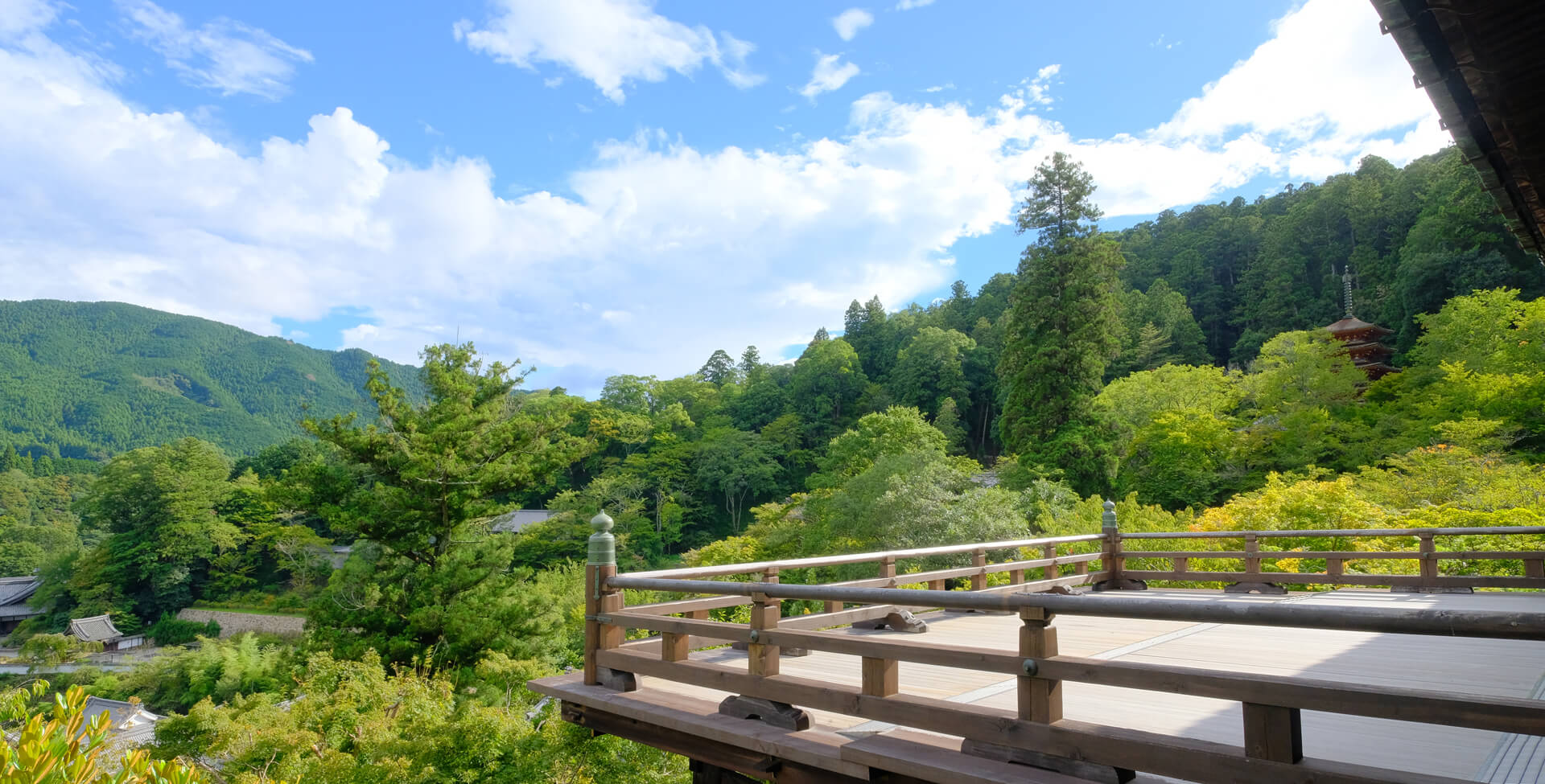 長谷寺 あじさい回廊 2026