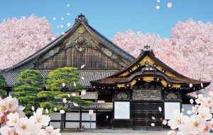 二条城桜まつり 2026