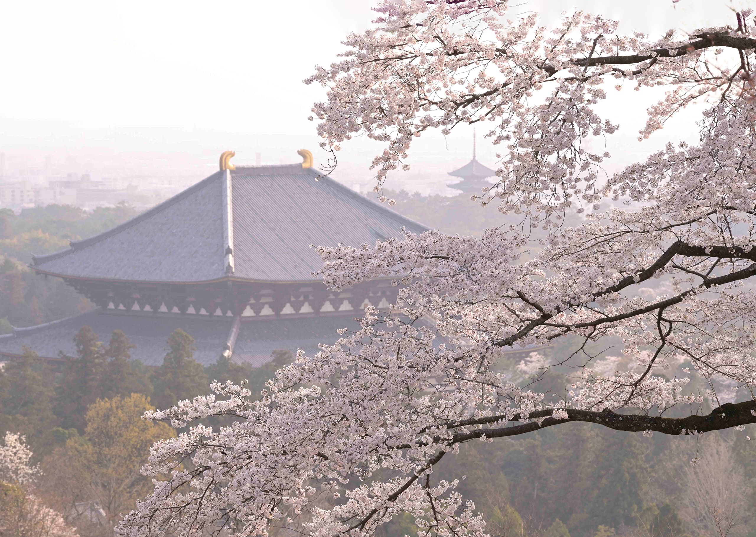 東大寺 お水取り（修二会）2026